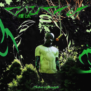 乌克兰欧美内射毛茸茸
